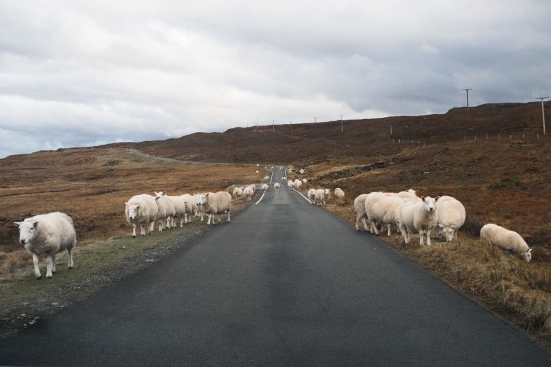 isle of skye photo diary