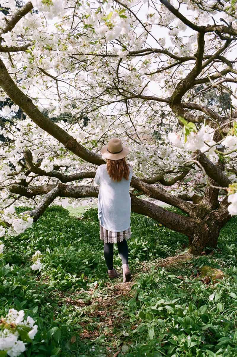 35mm film kew gardens vlog