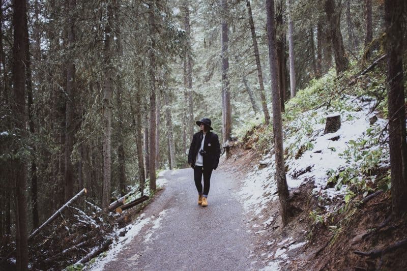 johnston canyon banff alberta canada