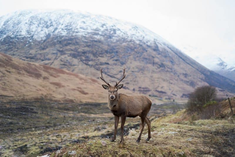 north coast 500 road trip scottish highlands