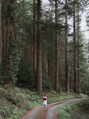 snowdonia photo diary