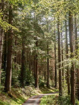 snowdonia photo diary