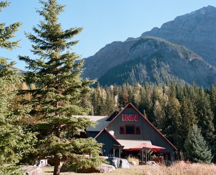 large pine tree next to an inn in field british columbia