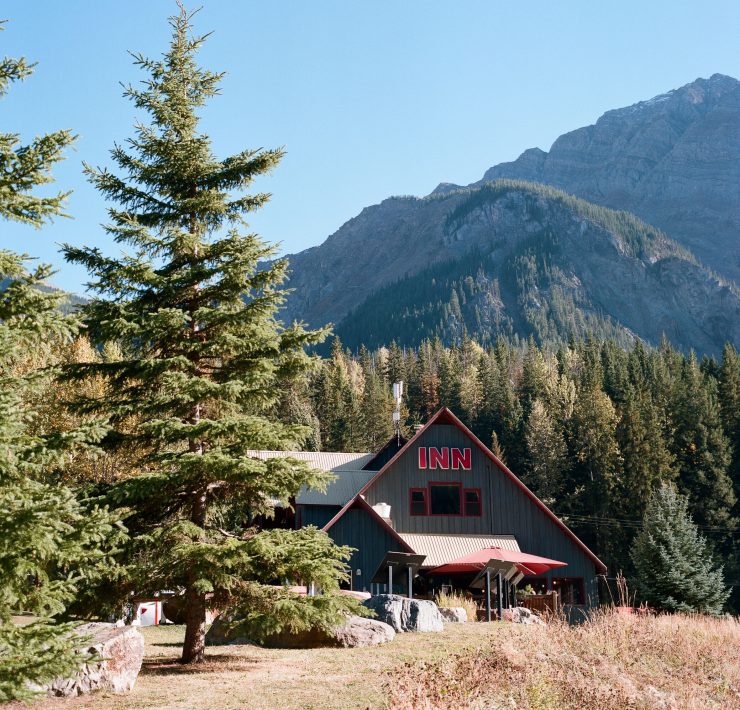 large pine tree next to an inn in field british columbia