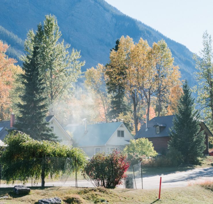 house amongst trees in field british columbia