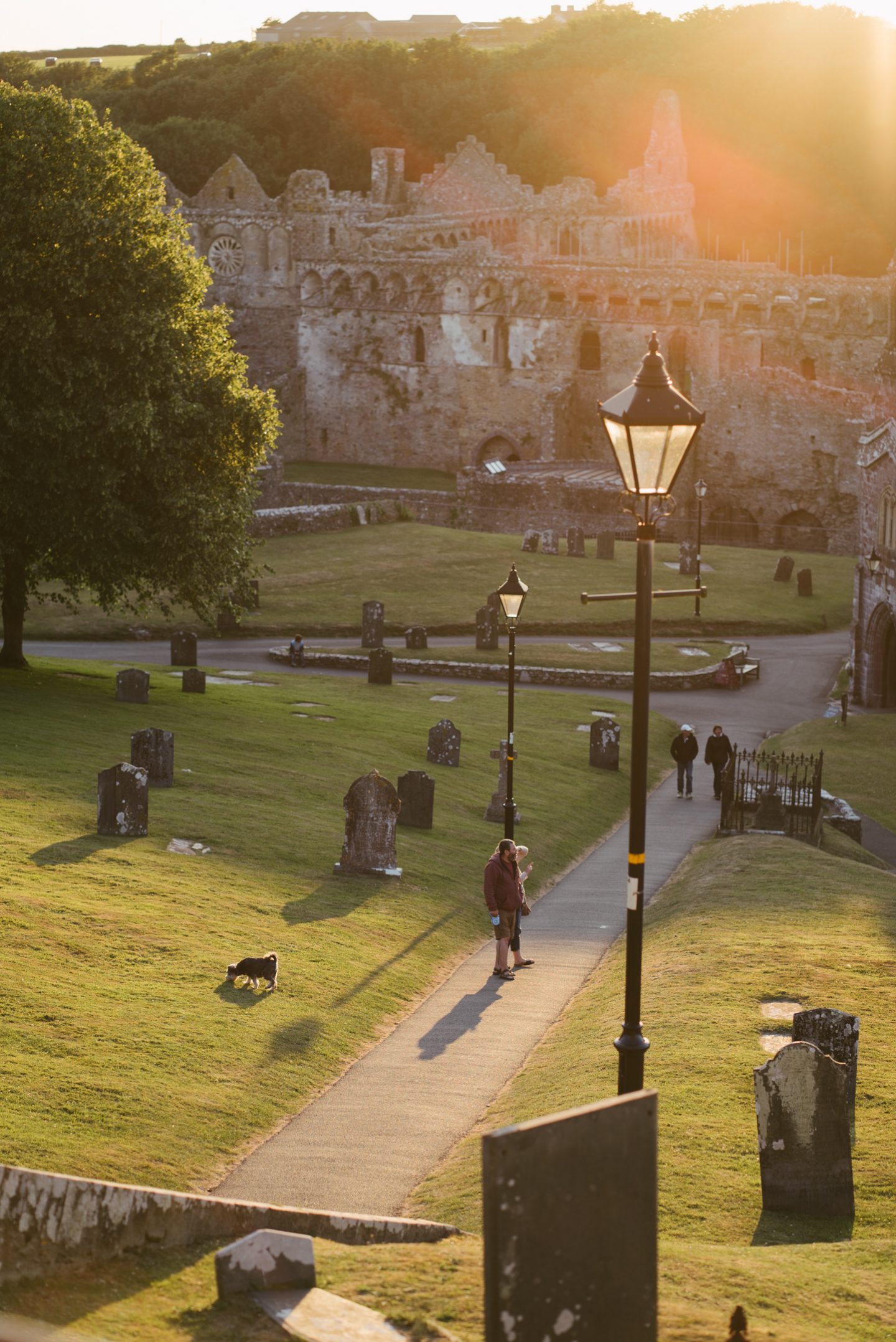 graveyard at st davids cathedral in glowing sunset light